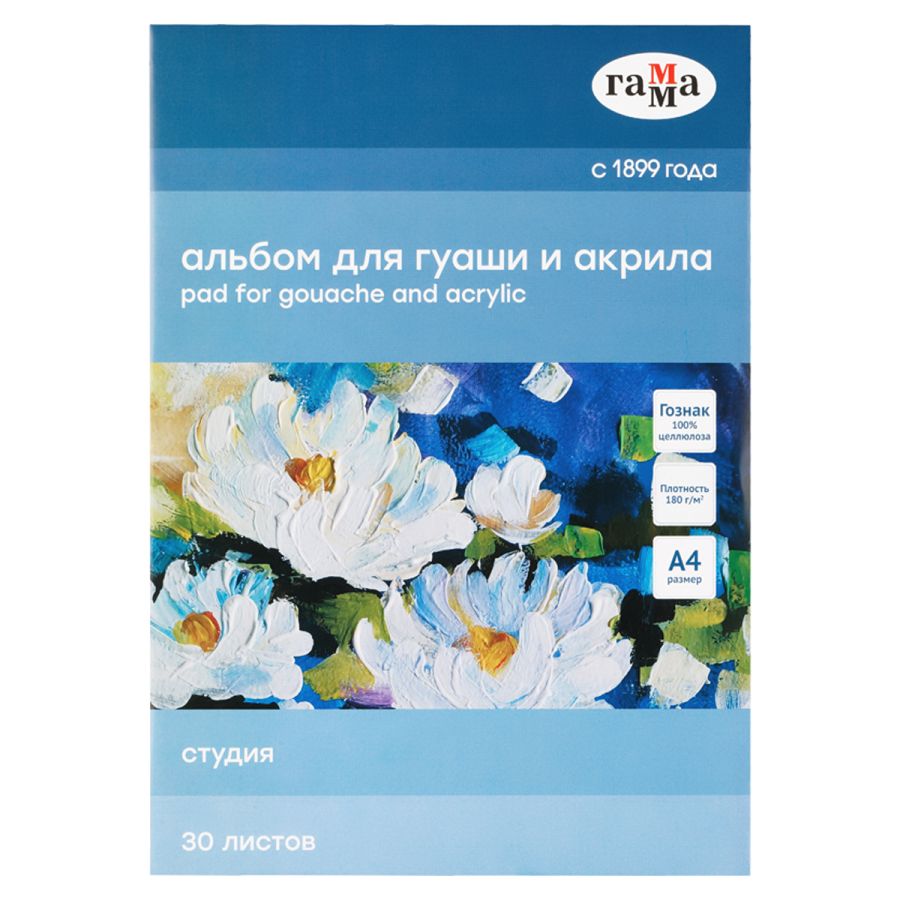 Albom quaş və akril üçün / A4 / 180 qr / 30 list / Qamma