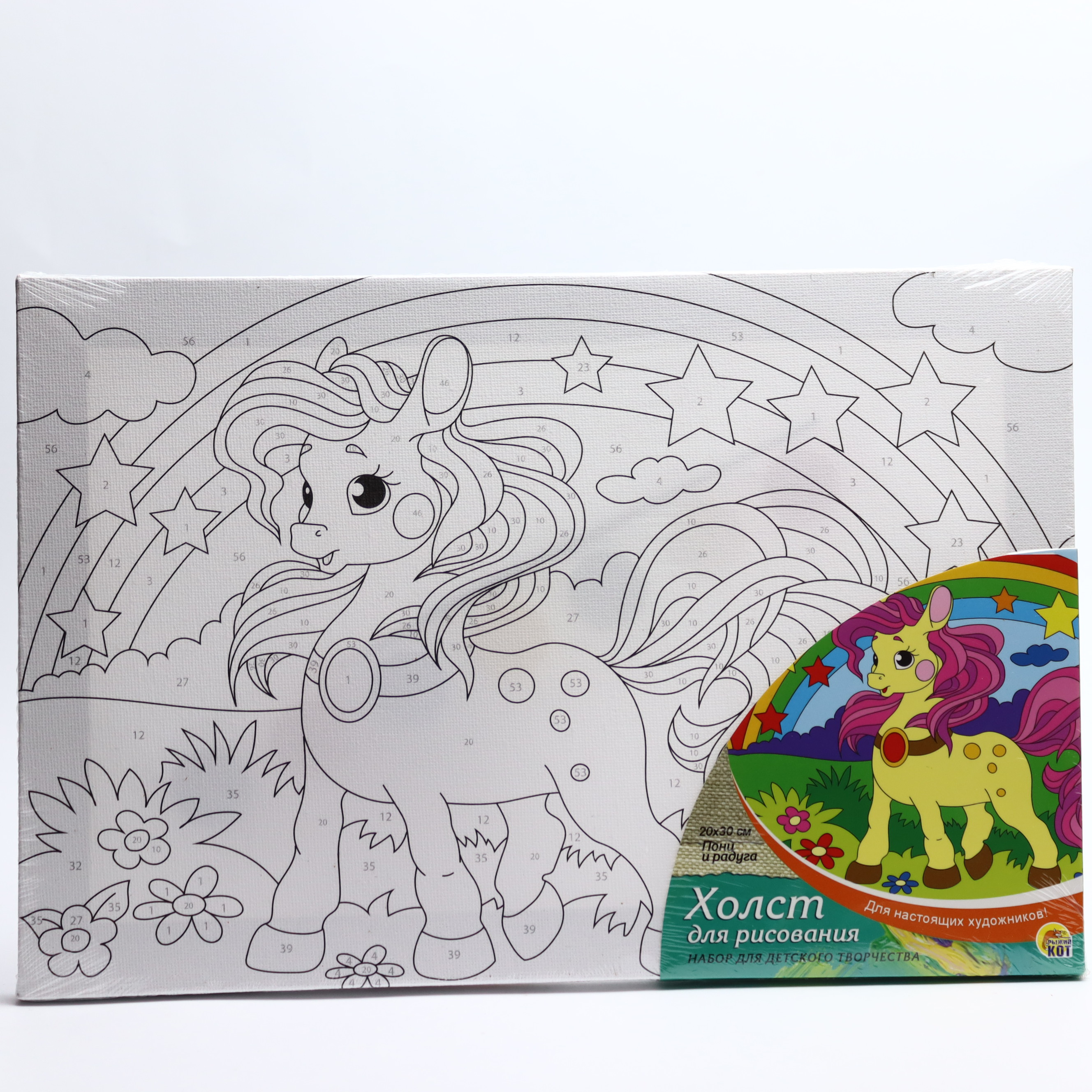 Canvas rəngləmə 20*30 + Rənglərlə / Rıjiy Kot
