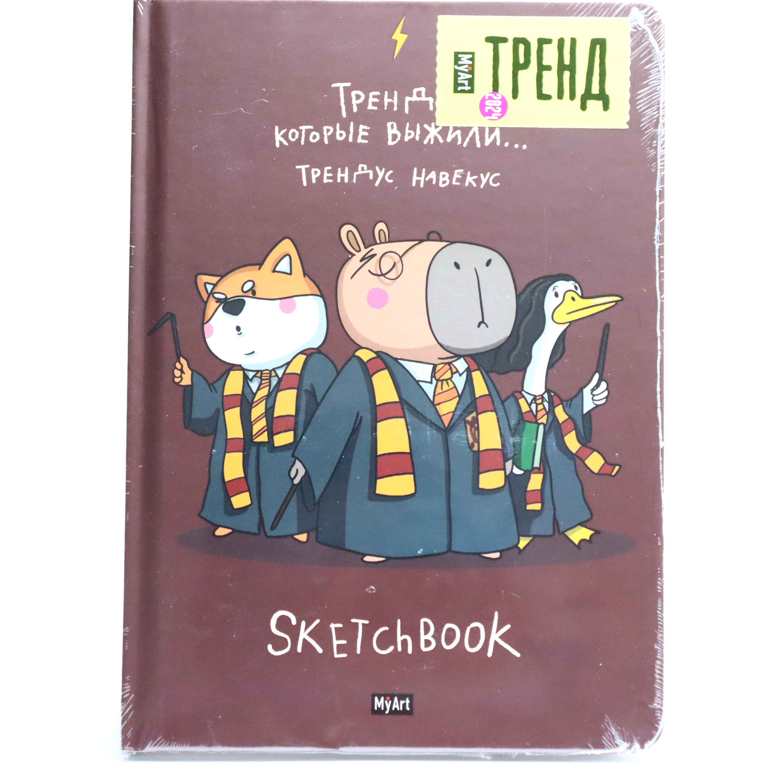 Sketchbook A5 / 64 L / 120 gr / СБ64-4832 / Trendı  kotorıe vıjili ... / My Art