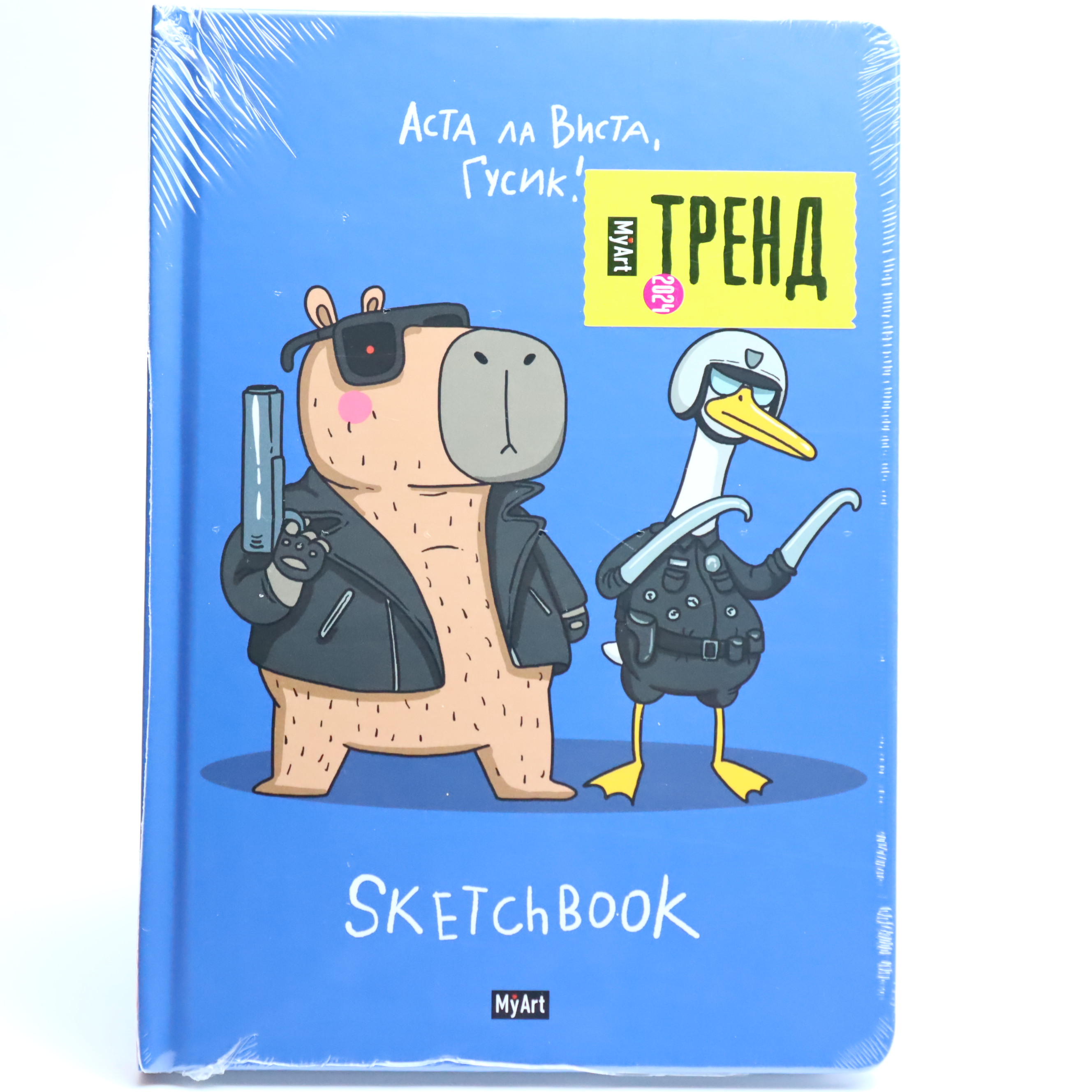 Sketchbook A5 / 64 L / 120 gr / СБ64-4833 / Asta la Vista Qusik / My Art
