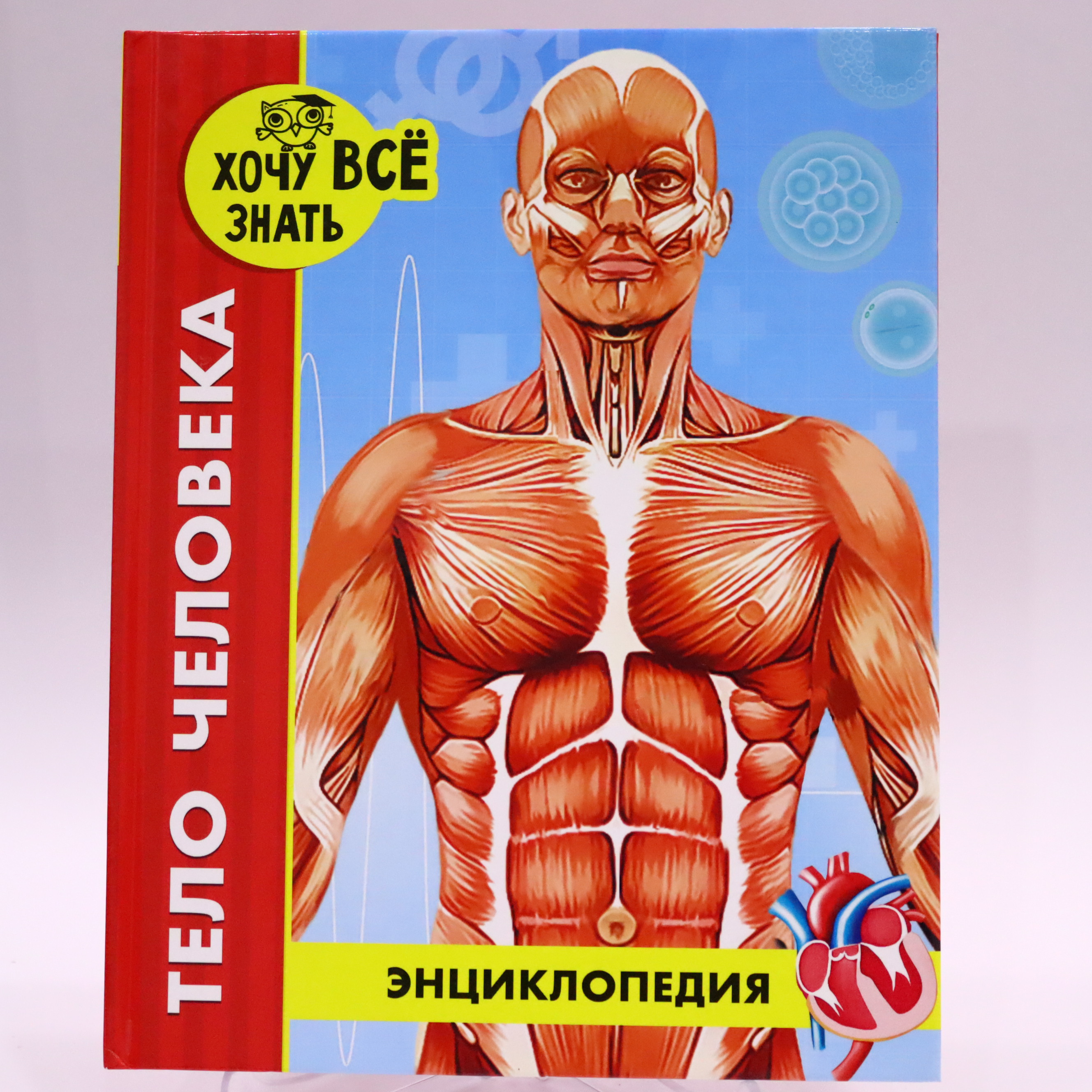 Ensiklopediya "Xoçu vse znatь" Telo Çeloveka