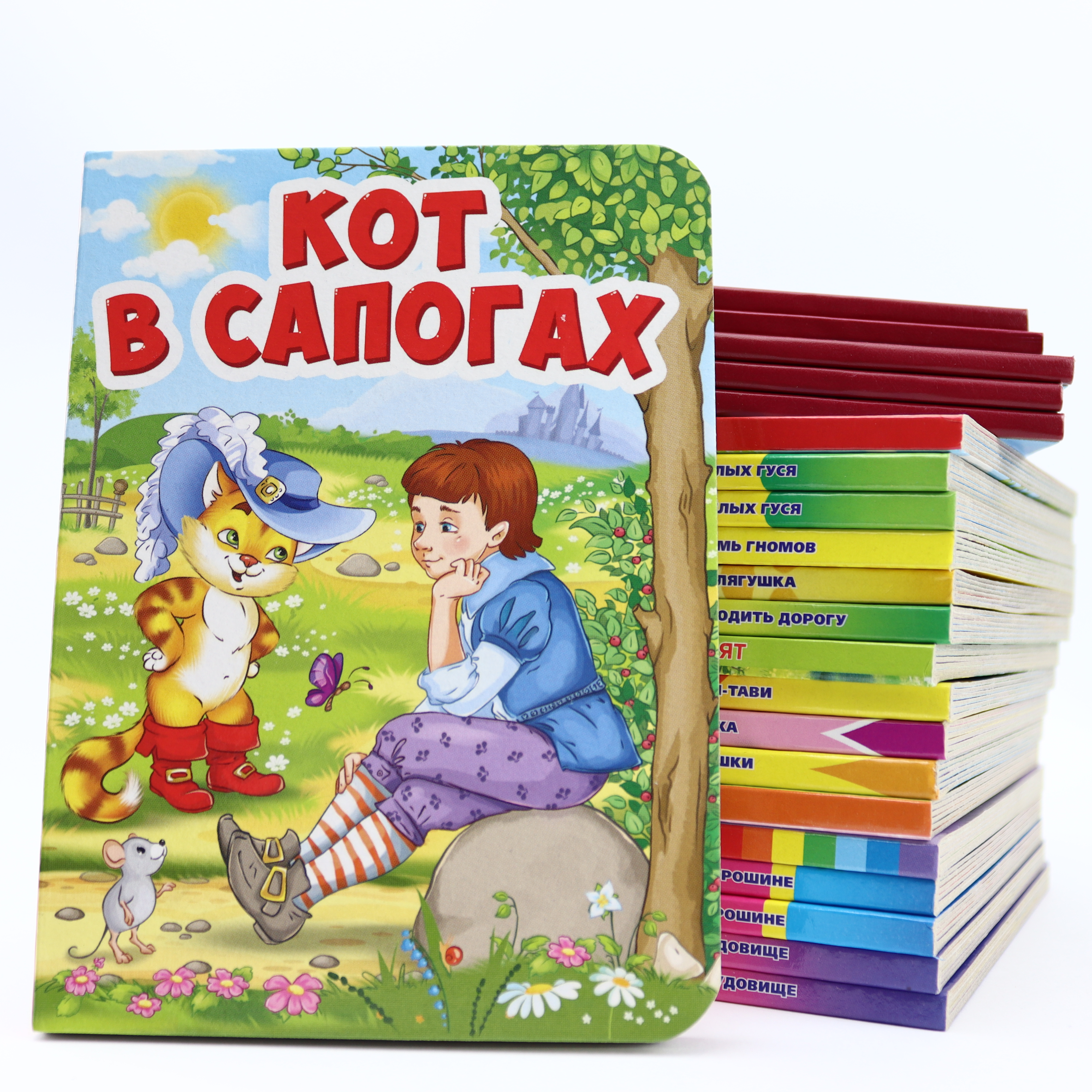 Literaturno-xudojestvennoe izdanie / 70*90-32 / Kot v Sapoqax