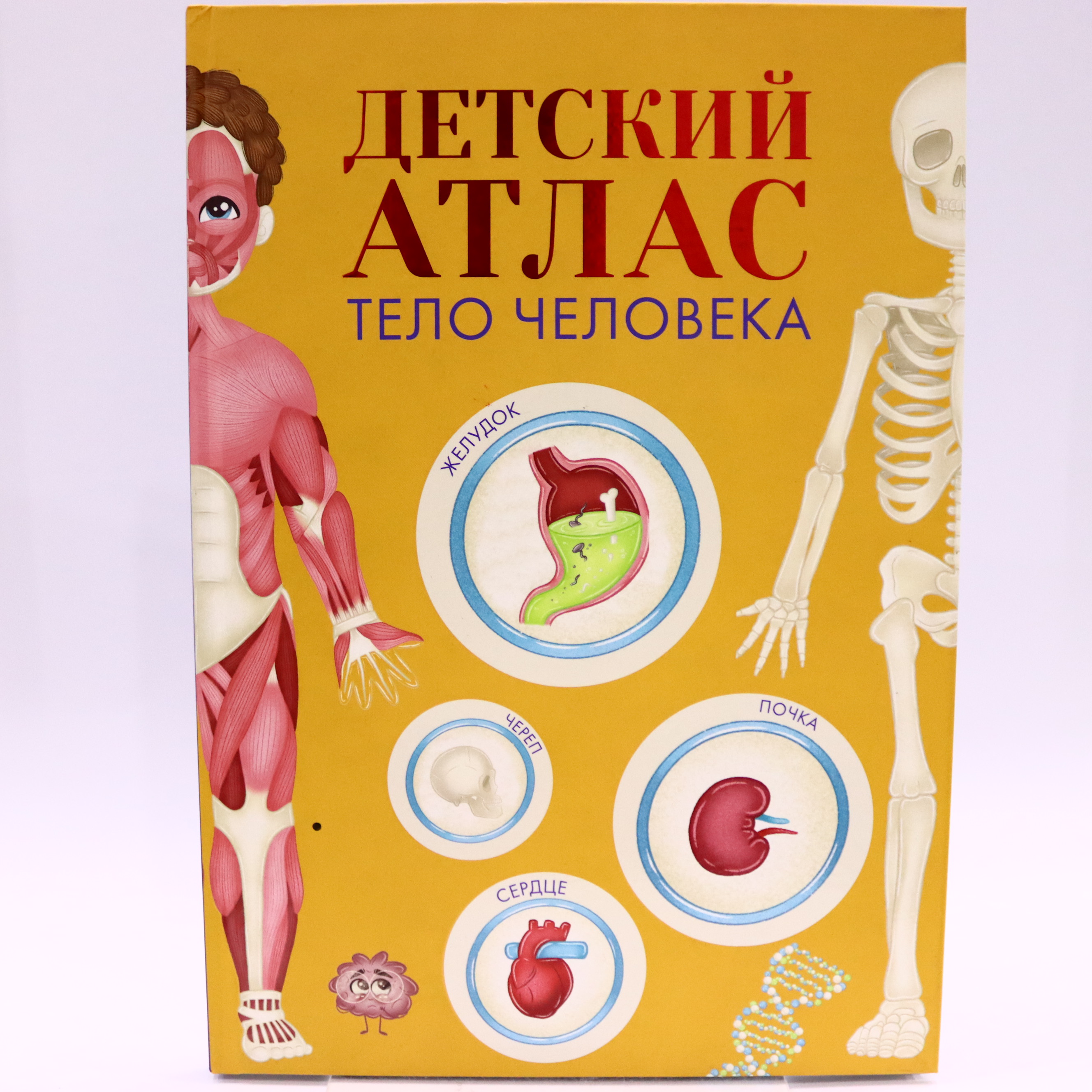 Detskiy Atlas Telo Çeloveka / Prof Press