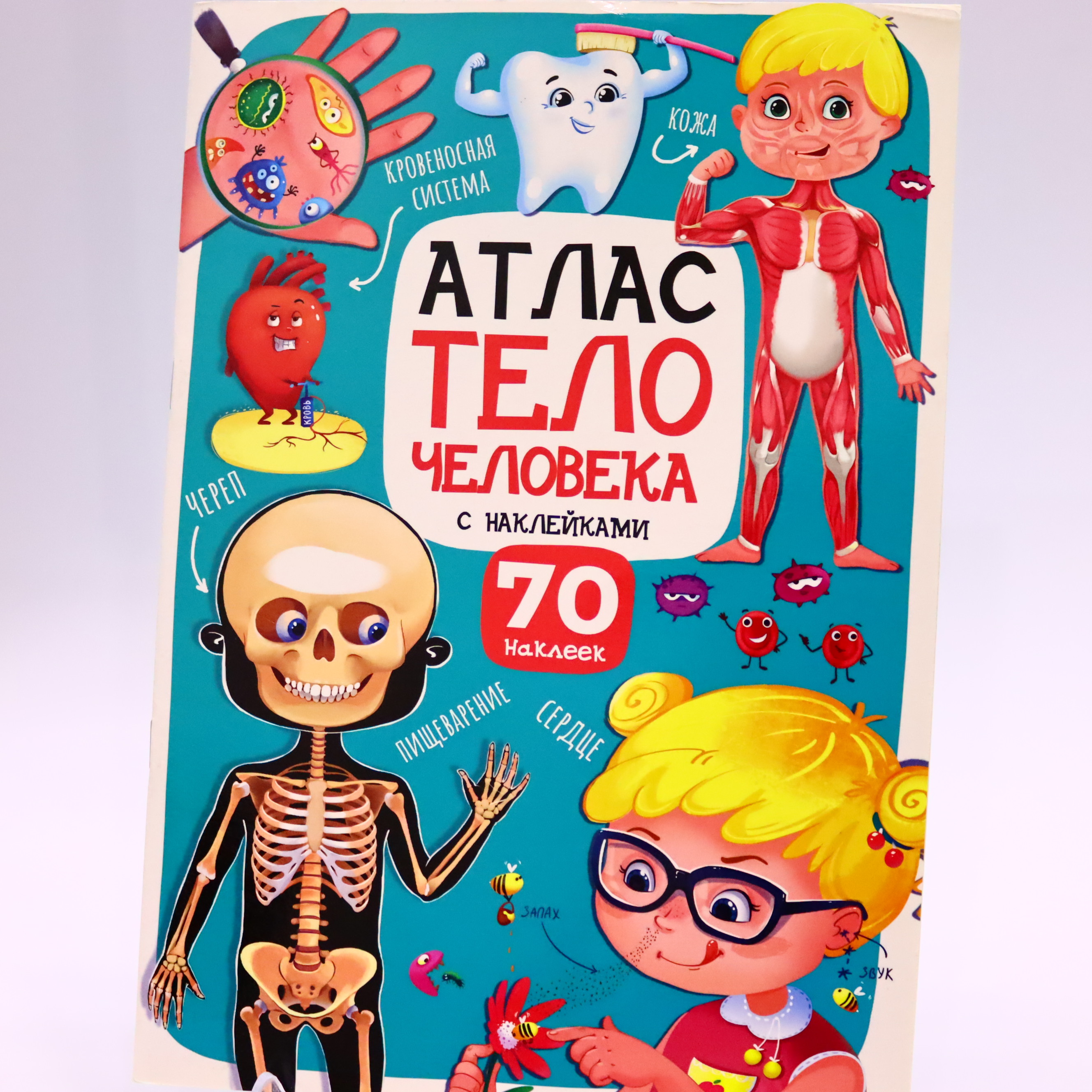 Atlas Telo Çeloveka s Nakleykami / Prof Press