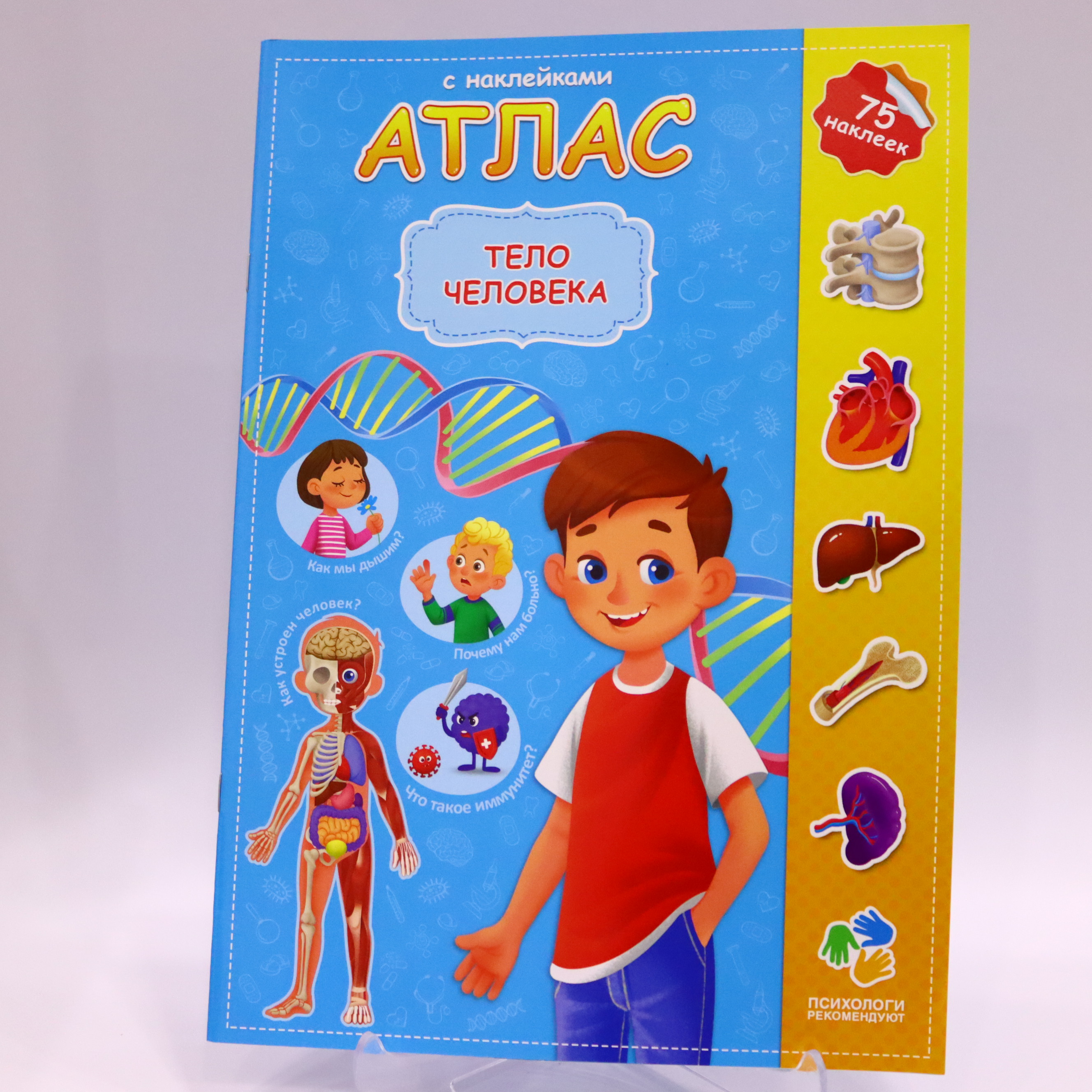 Kar. atlas s nakleykami. telo çeloveka. 21х29,7 sm. 16 str. qeodom (ISBN 978-5-907093-95-9)