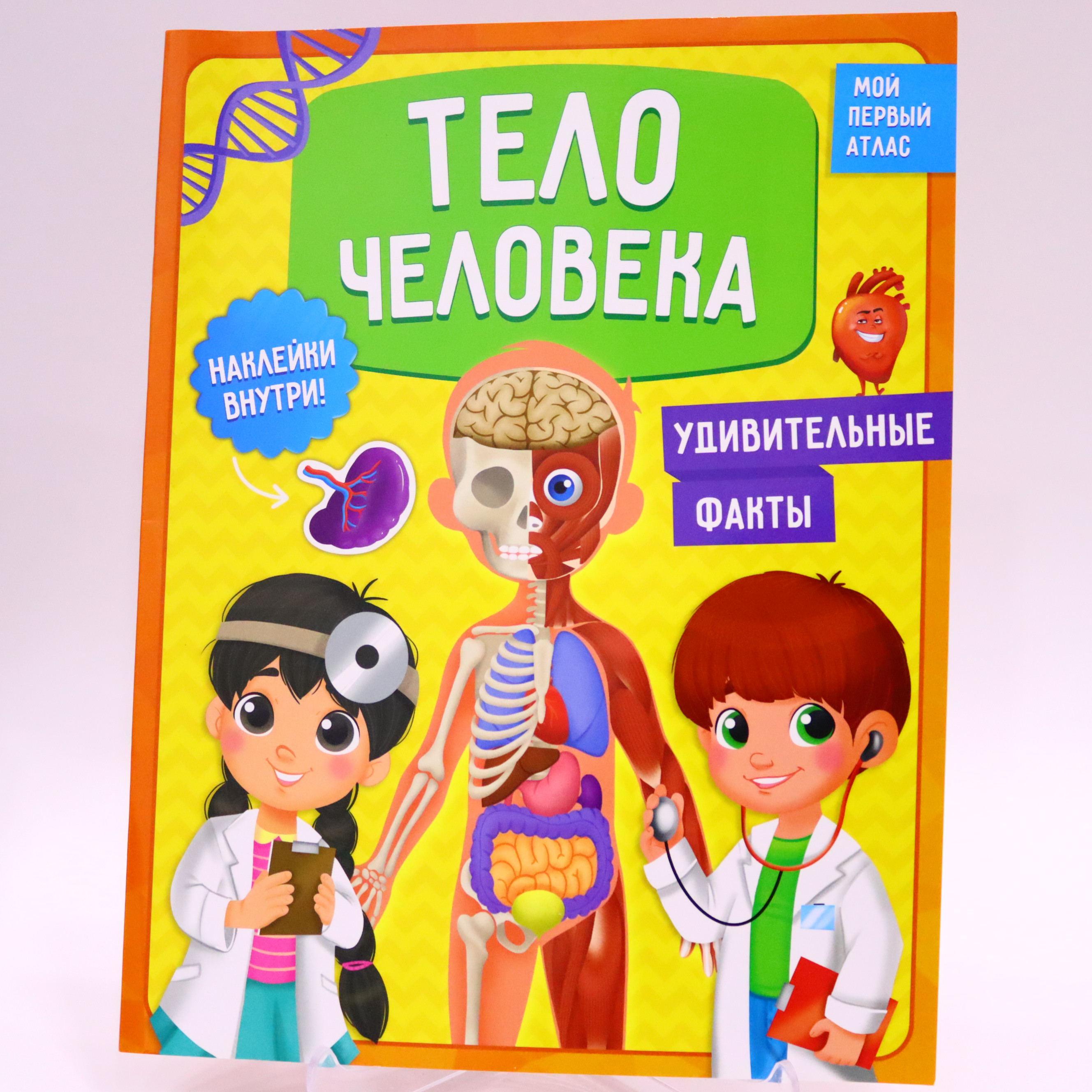 Kar. Moy Pervıy Atlas s Nakleykami / Telo Çeloveka
