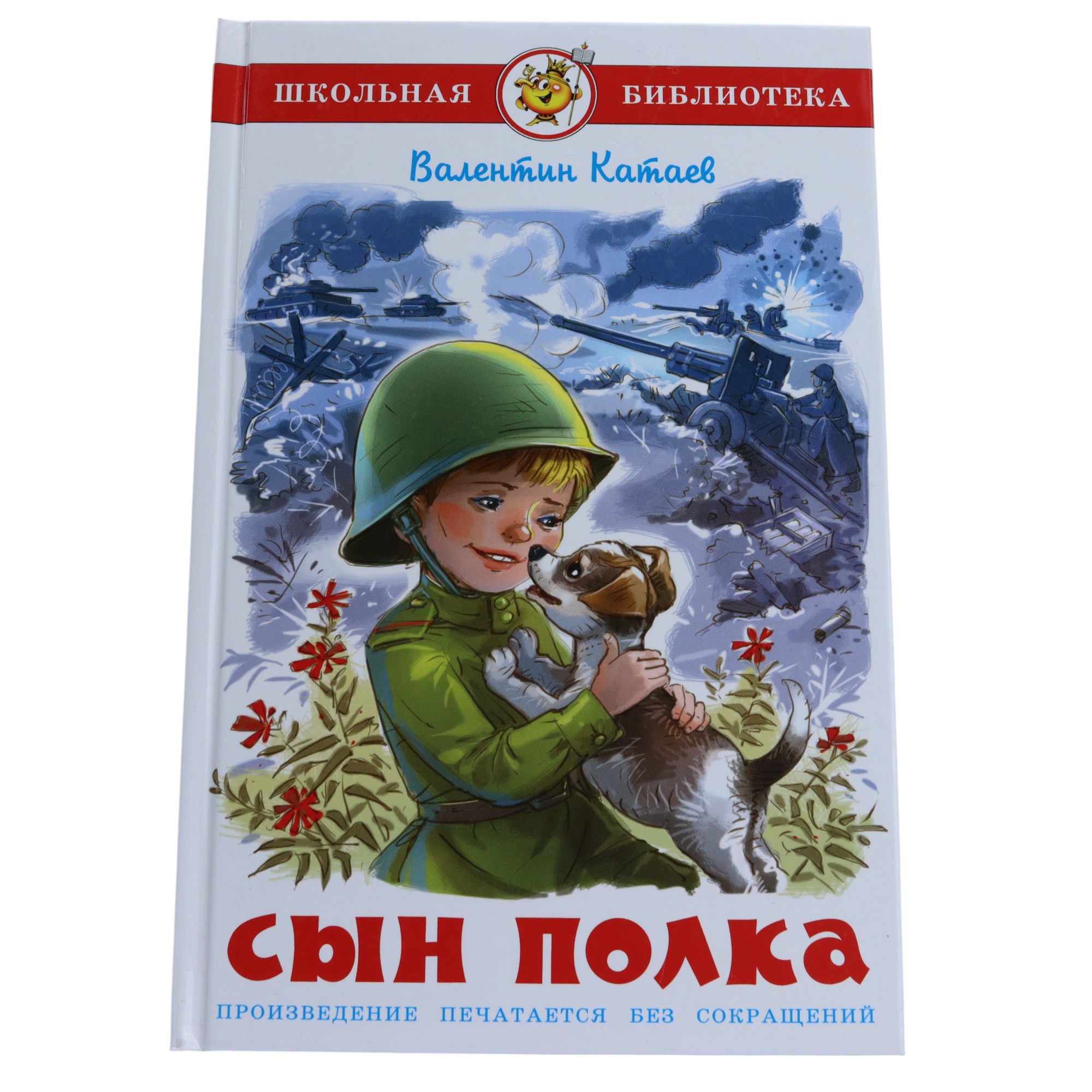 Şkolnaya Biblioteka / Sın Polka