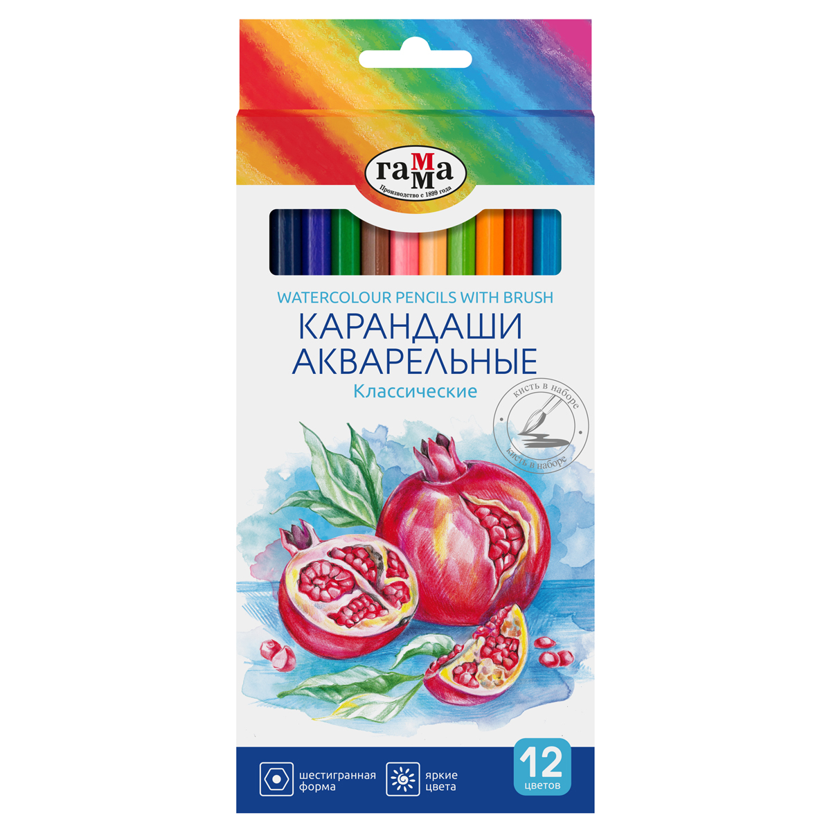 Karandaş 12 rəng / Akvarel / 221118_02_02 / Qamma
