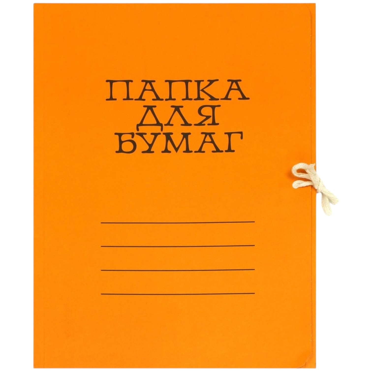 İpli qovluq rəngli / Liliya