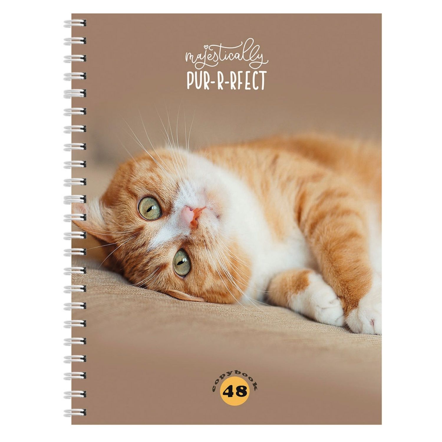 Dəftər spirallı A5 / 48 vərəq / # / 48-3586 / Prof-Press