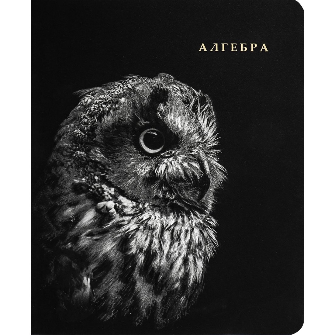 Dəftər A5 / 48 vərəq / Алгебра / 48-1748 / Prof-Press