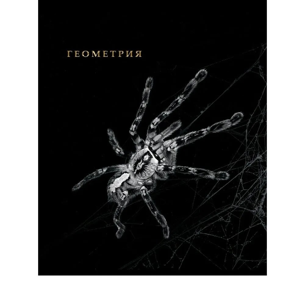 Dəftər A5 / 48 vərəq / Геометрия / 48-1732 / Prof-Press