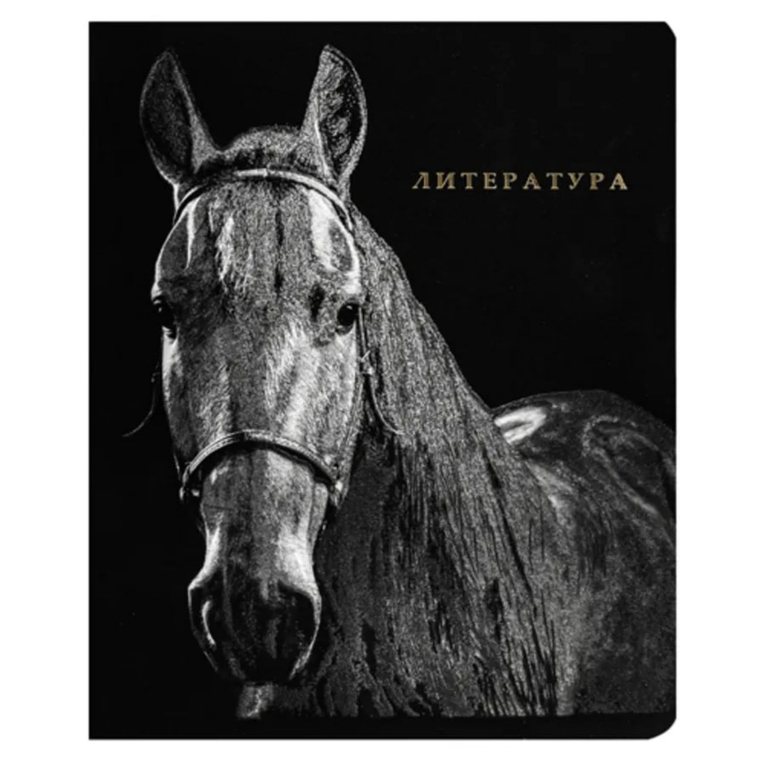 Dəftər A5 / 48 vərəq / Литература / 48-1742 / Prof-Press