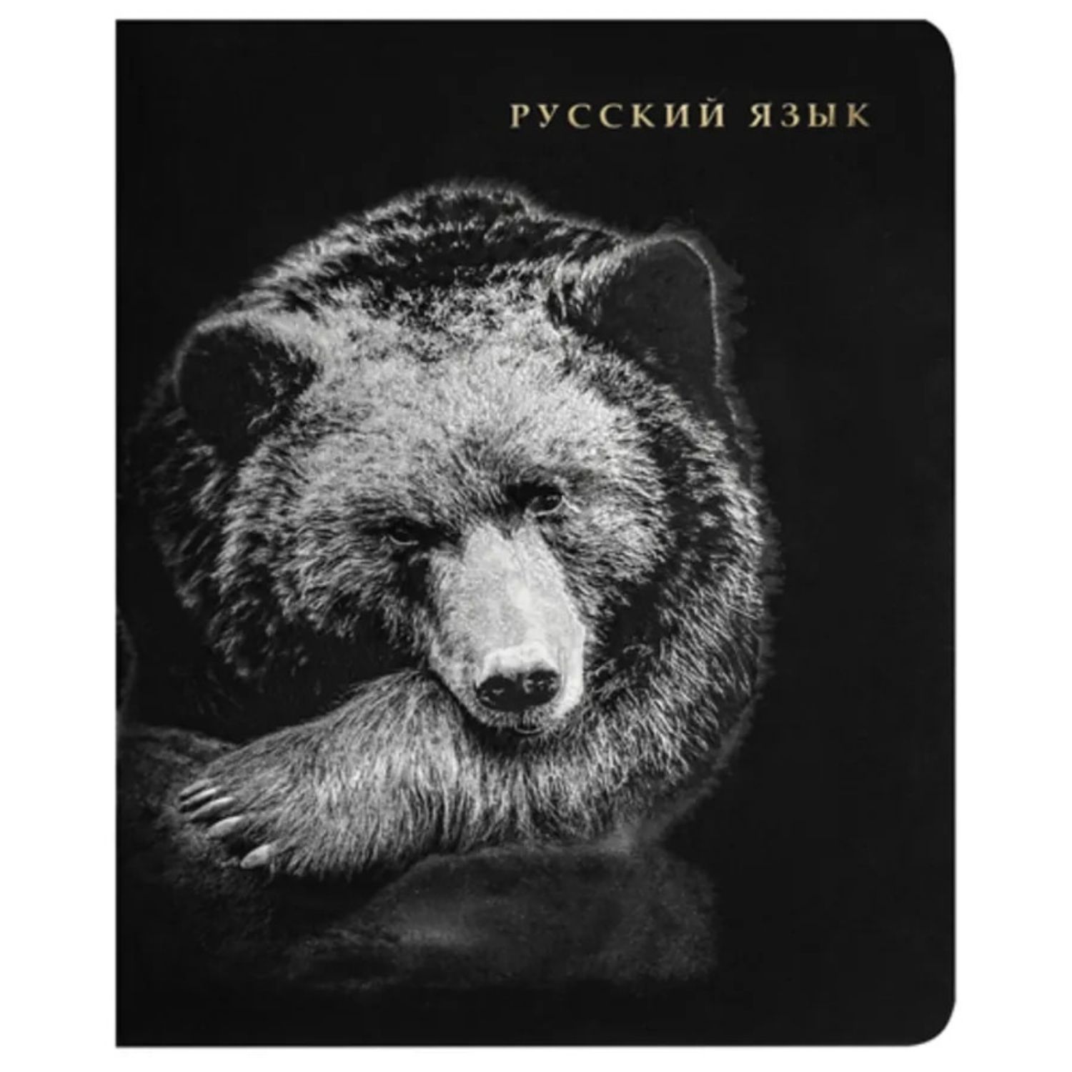 Dəftər A5 / 48 vərəq / Русский язык / 48-1743 / Prof-Press