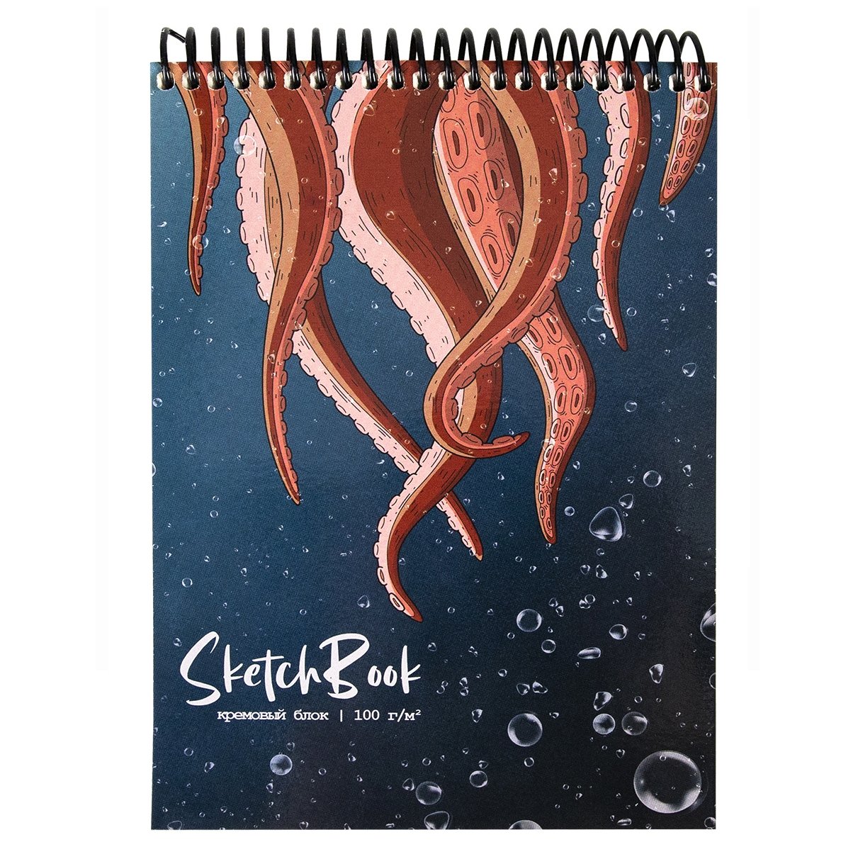 Sketchbook A5 / 64 L / 100 gr / spirallı / 64-6858 / Prof-Press