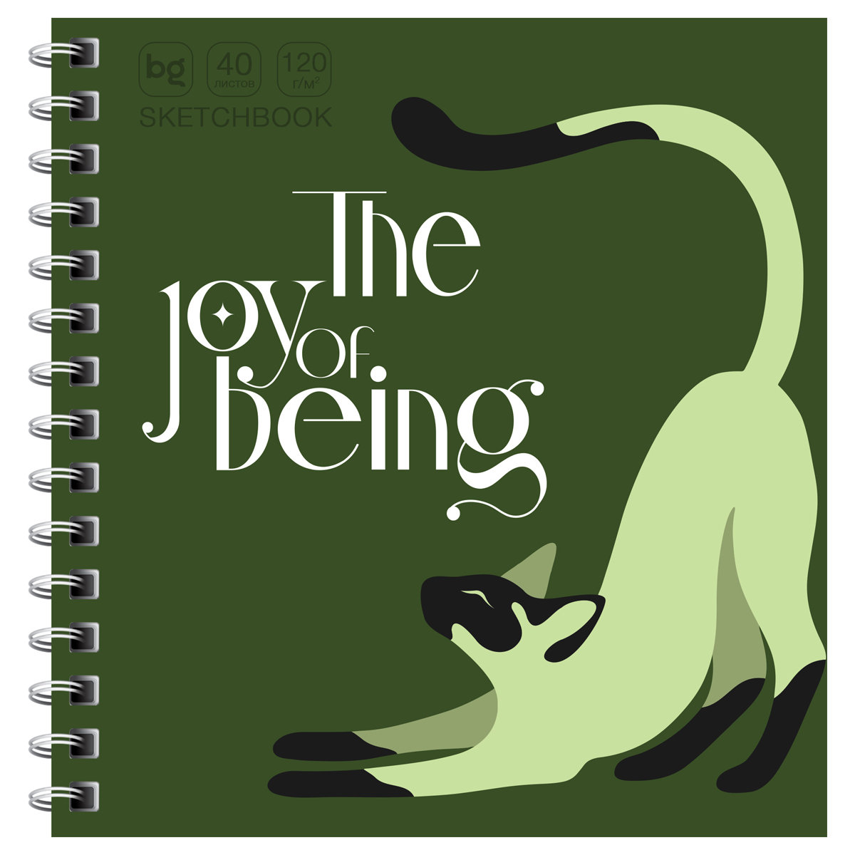 SKETCH BOOK BG 170*170 40 VƏRƏQLI "SECRET PLACE. CAT" SOFT TOUCH, 120Г/М2 / Скв40гр_58075