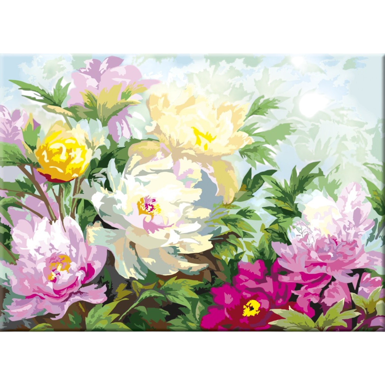 Canvas karton üzərində rəngləmə 30*40 / 141762 / Pionı / Sonet