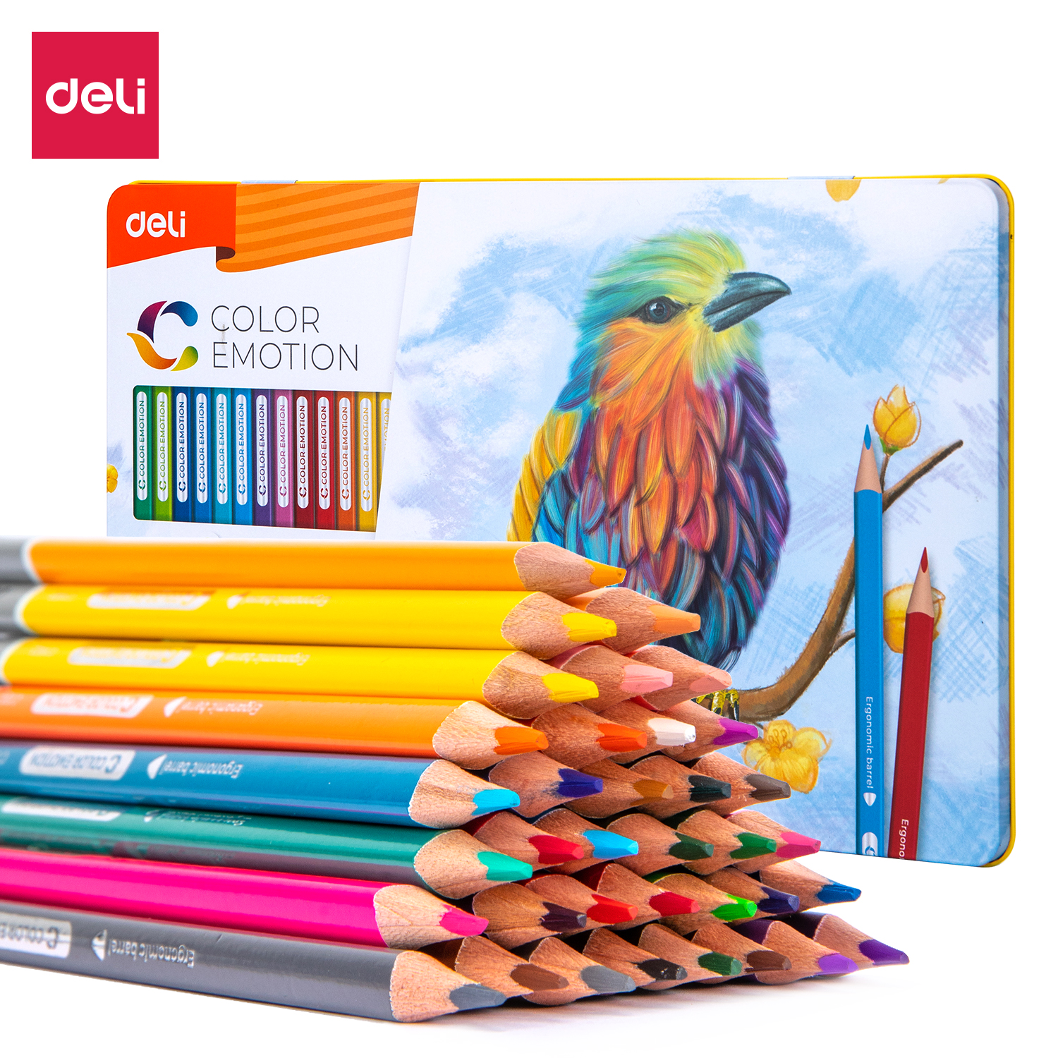 KARANDAŞ 36 RƏNGLİ \ C00235 \ DELI