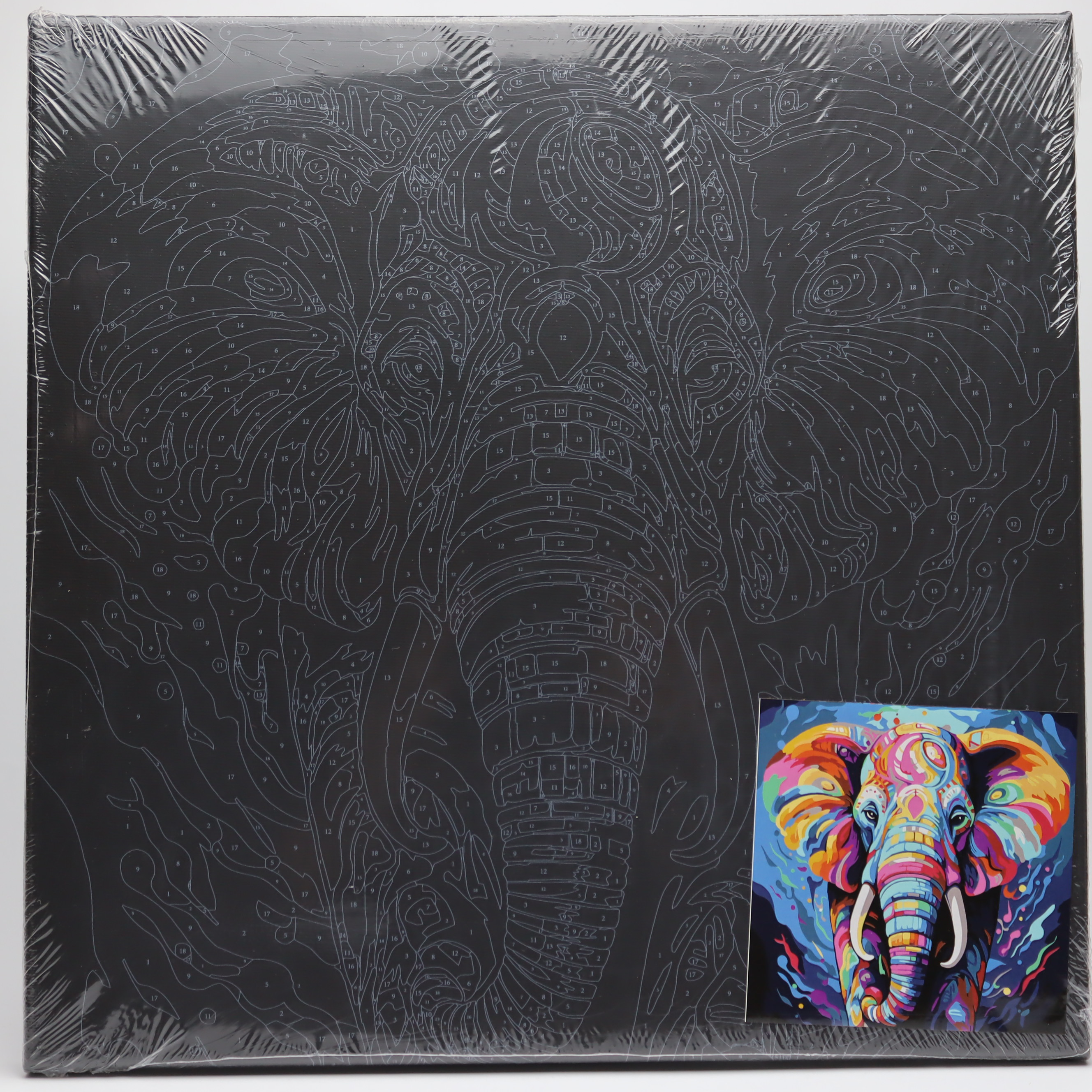 Canvas qara rəngləmə 30*30 + Rənglərlə