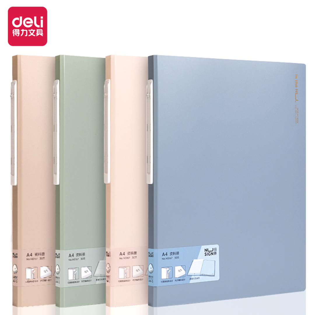 Qovluq fayllı A4 / 30 ədədli / NS167 / Deli
