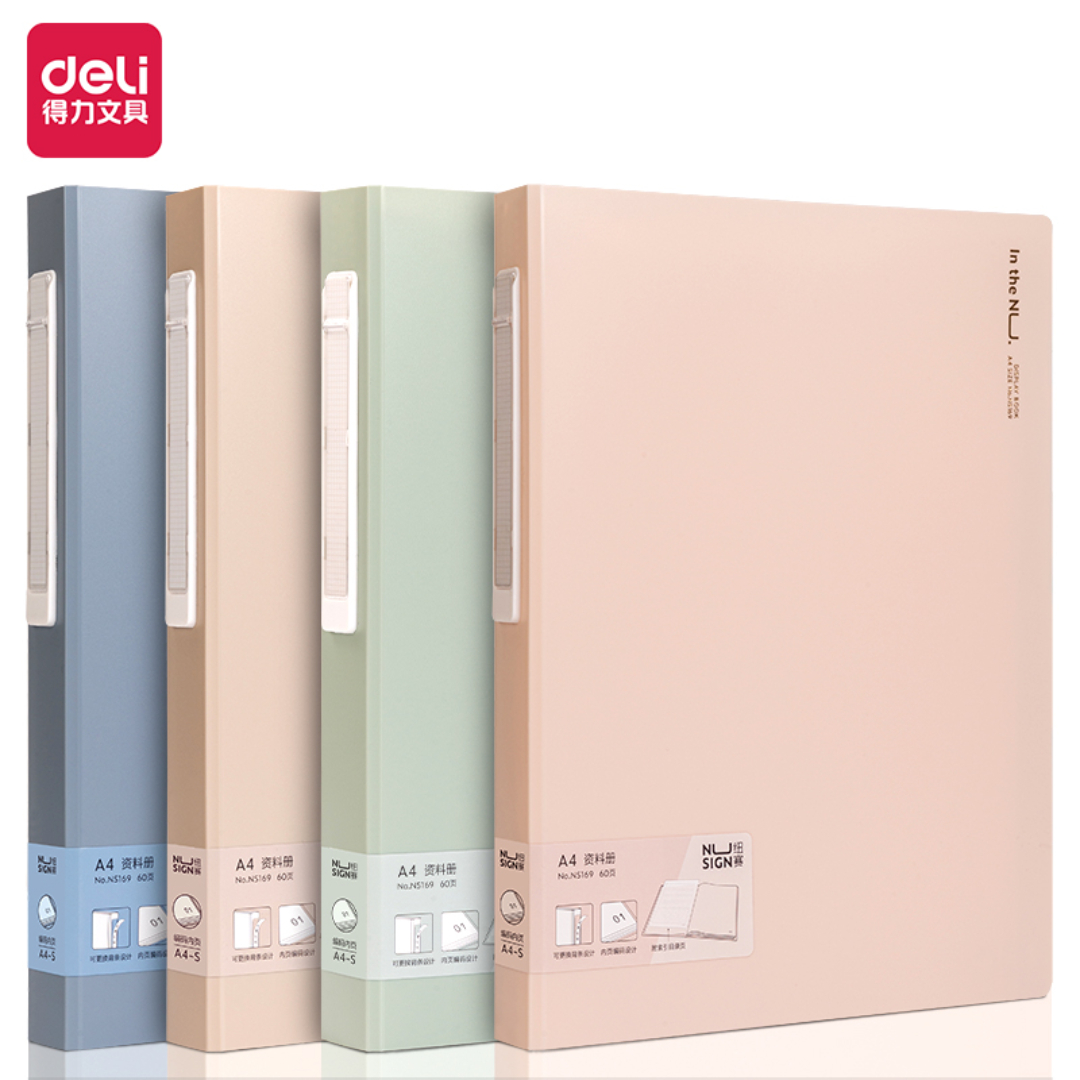 Qovluq fayllı A4 / 60 ədədli / NS169 / Deli	